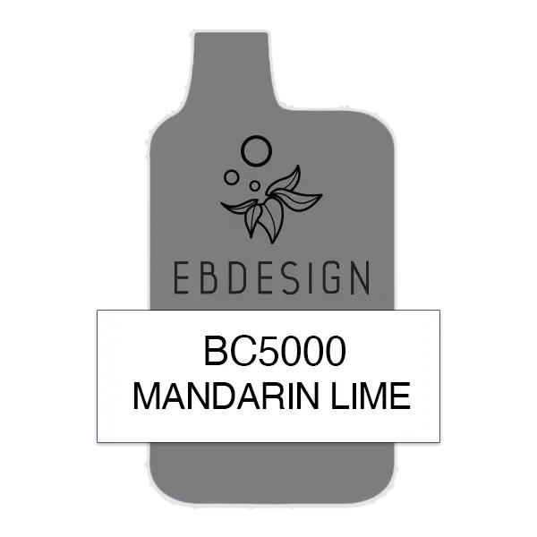 BUY 1 GET 1 FREE Mandarin Lime Elf Bar 5000 | Vape Collection